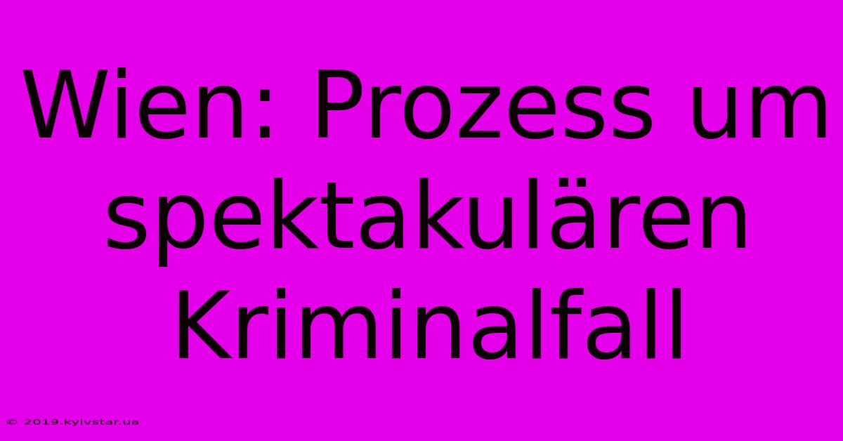 Wien: Prozess Um Spektakulären Kriminalfall