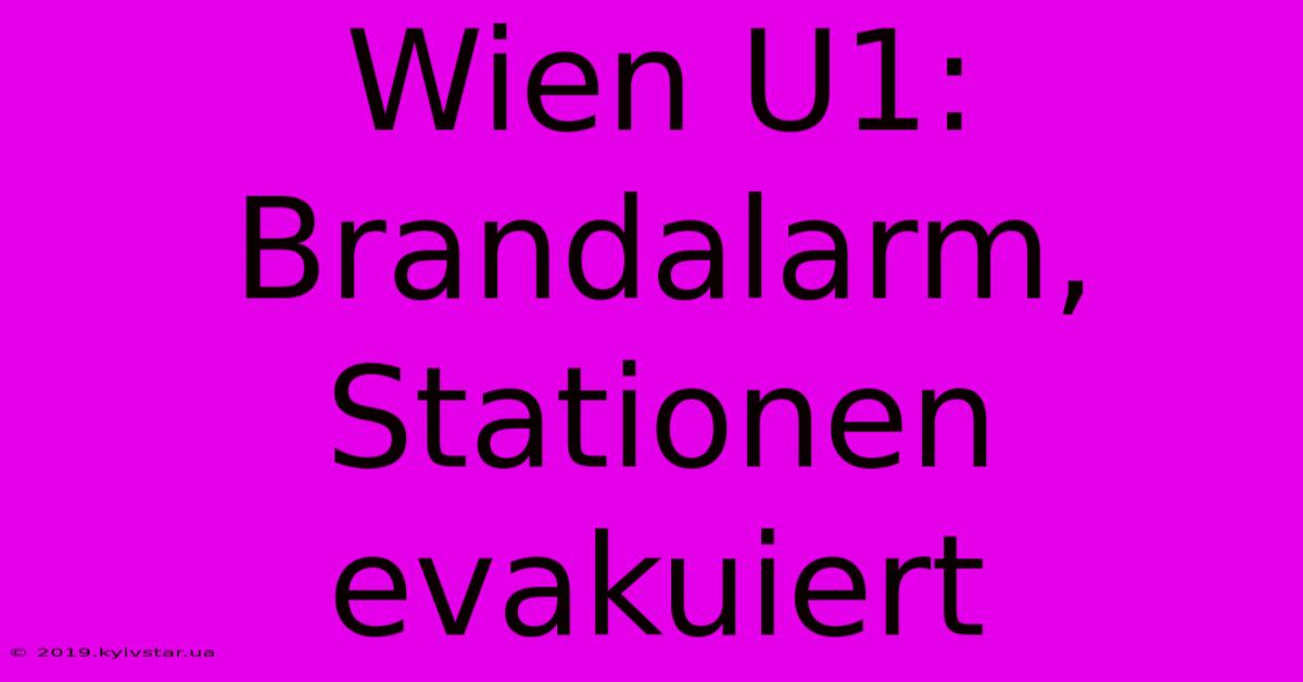 Wien U1: Brandalarm, Stationen Evakuiert