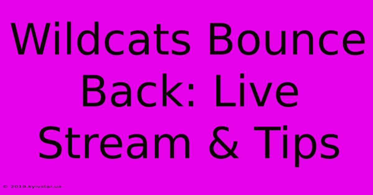 Wildcats Bounce Back: Live Stream & Tips