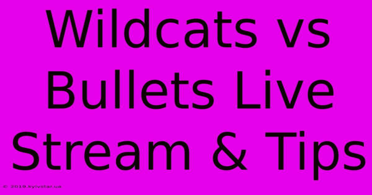 Wildcats Vs Bullets Live Stream & Tips