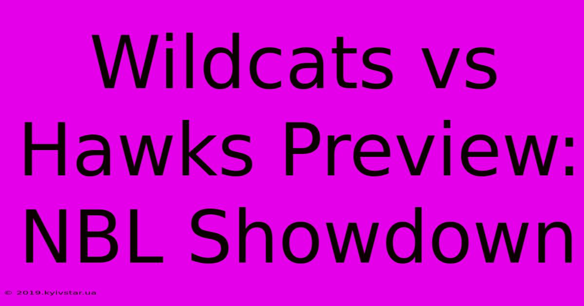 Wildcats Vs Hawks Preview: NBL Showdown