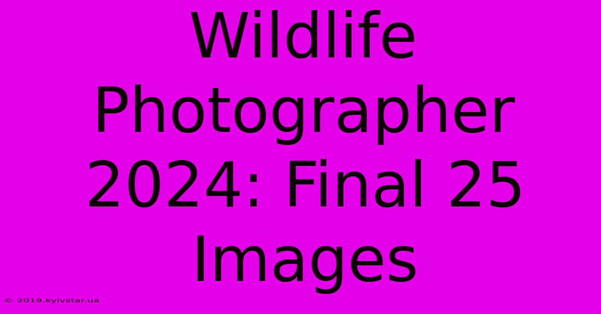 Wildlife Photographer 2024: Final 25 Images