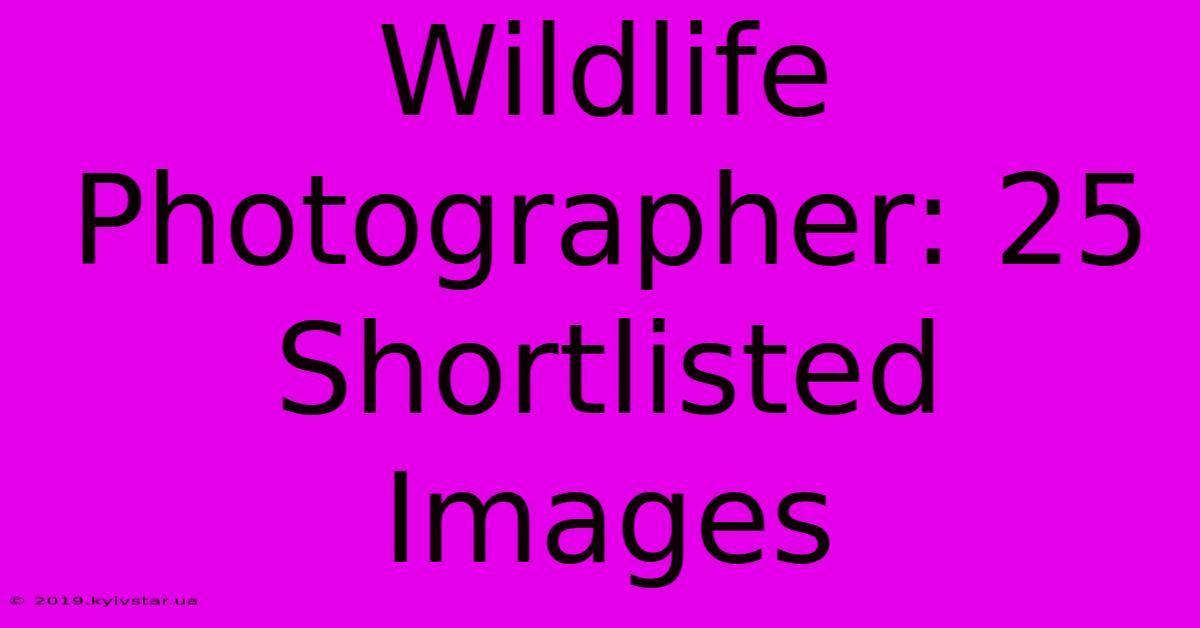 Wildlife Photographer: 25 Shortlisted Images