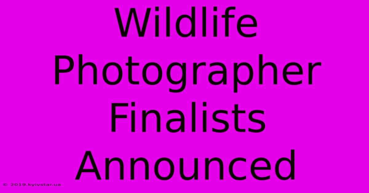 Wildlife Photographer Finalists Announced