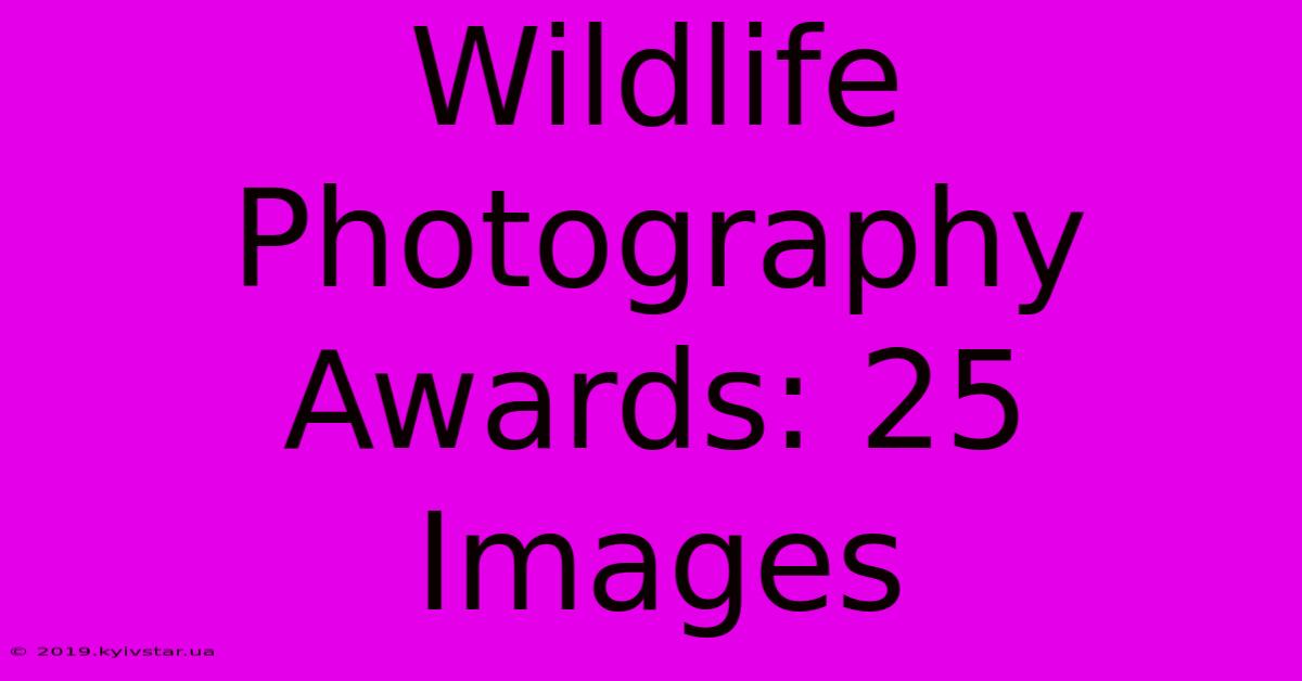 Wildlife Photography Awards: 25 Images