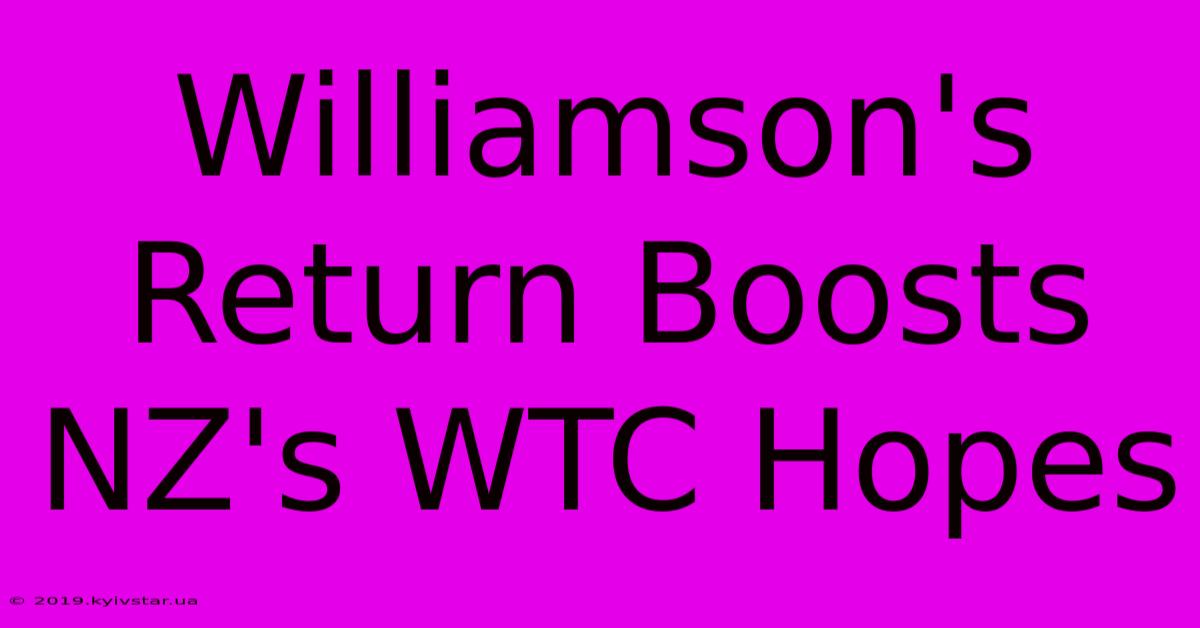 Williamson's Return Boosts NZ's WTC Hopes