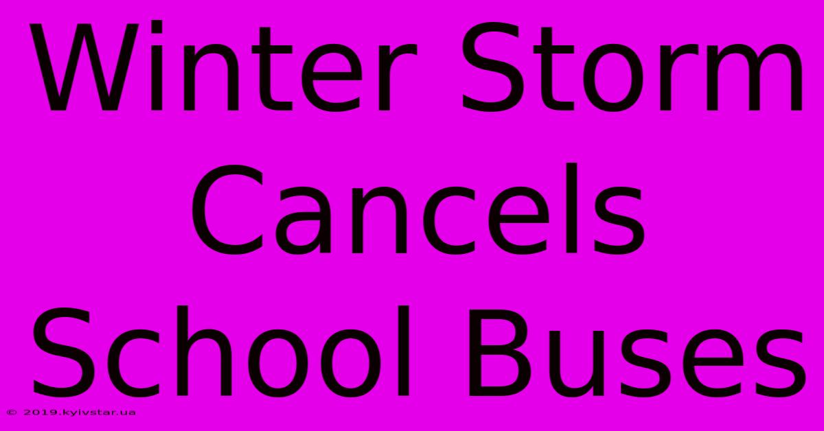 Winter Storm Cancels School Buses