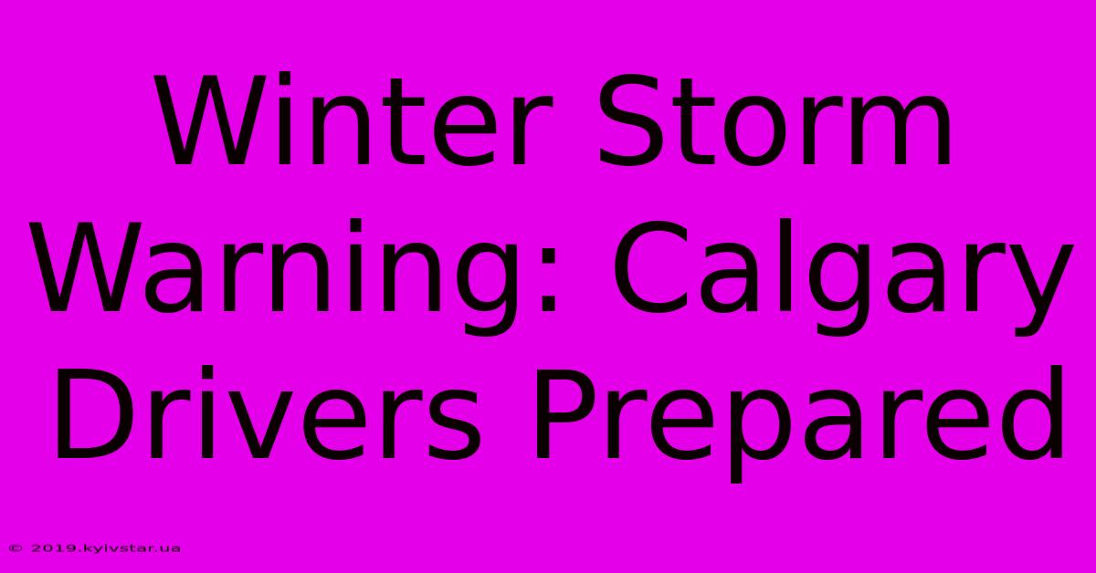 Winter Storm Warning: Calgary Drivers Prepared