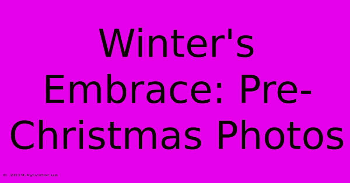 Winter's Embrace: Pre-Christmas Photos