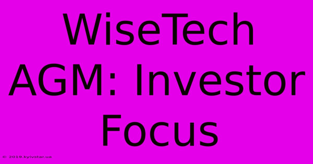 WiseTech AGM: Investor Focus