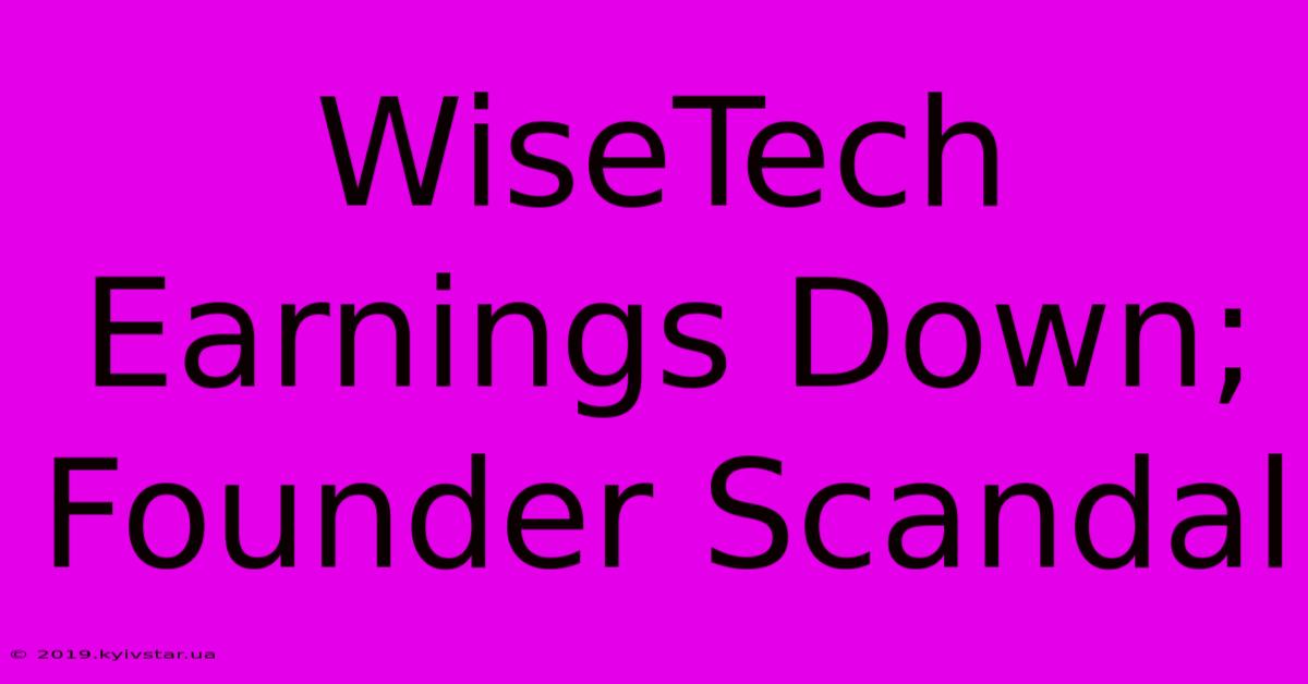 WiseTech Earnings Down; Founder Scandal