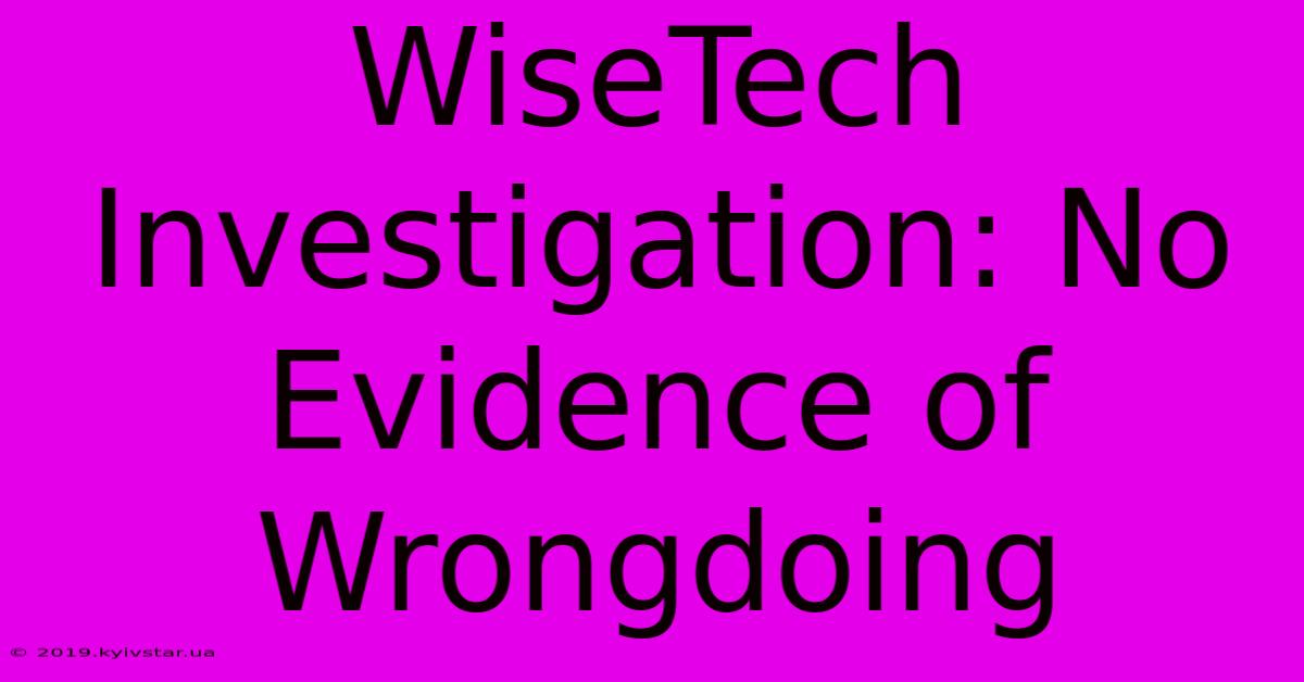 WiseTech Investigation: No Evidence Of Wrongdoing