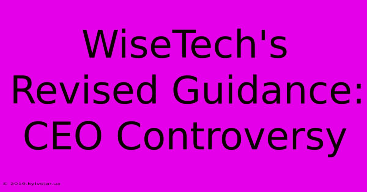 WiseTech's Revised Guidance: CEO Controversy