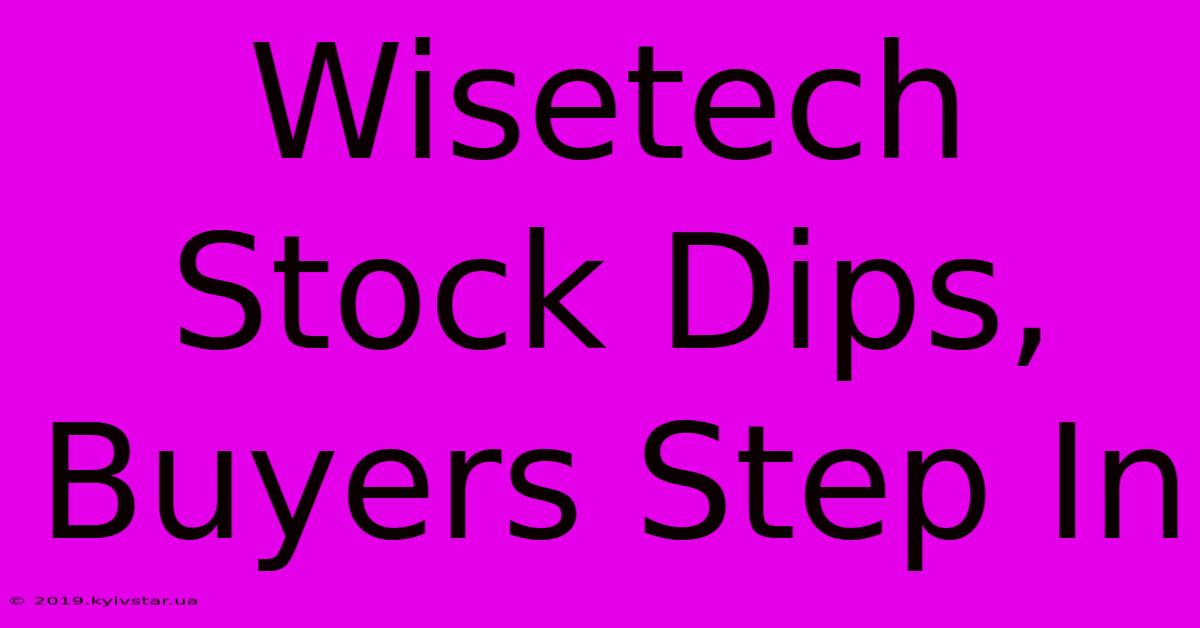 Wisetech Stock Dips, Buyers Step In