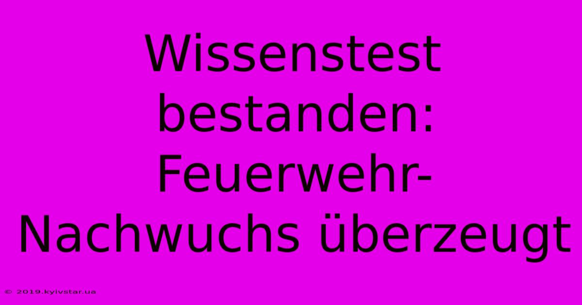 Wissenstest Bestanden: Feuerwehr-Nachwuchs Überzeugt