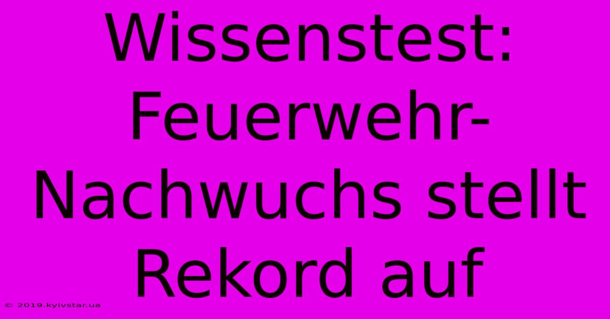 Wissenstest: Feuerwehr-Nachwuchs Stellt Rekord Auf 