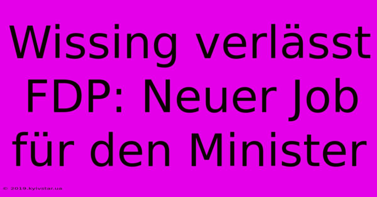 Wissing Verlässt FDP: Neuer Job Für Den Minister