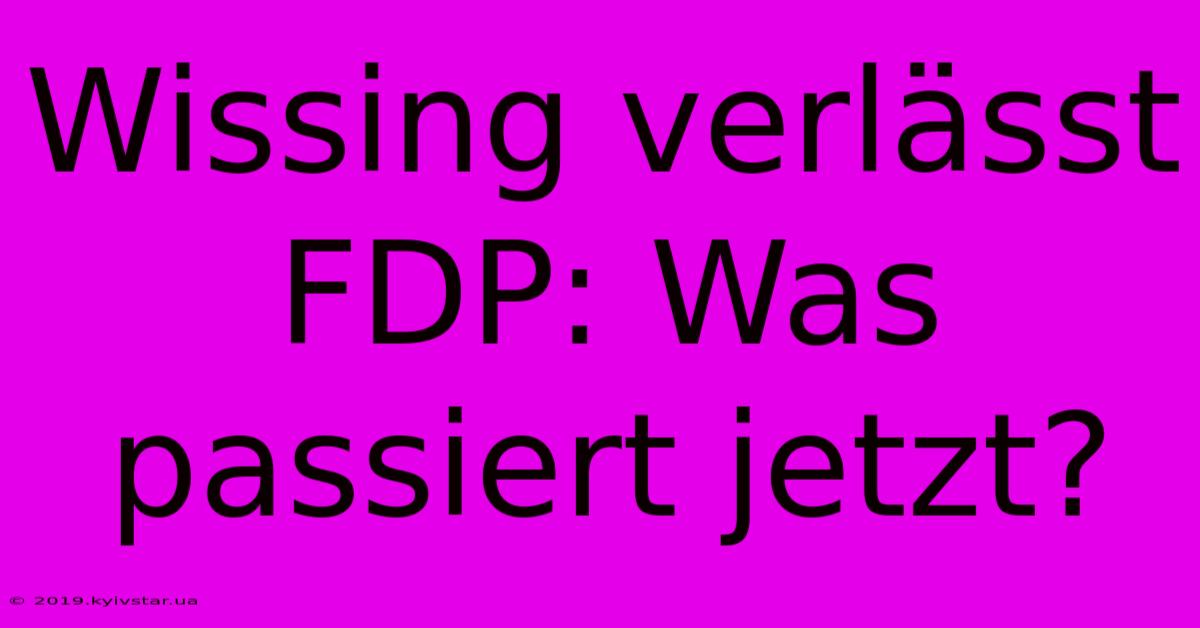 Wissing Verlässt FDP: Was Passiert Jetzt?