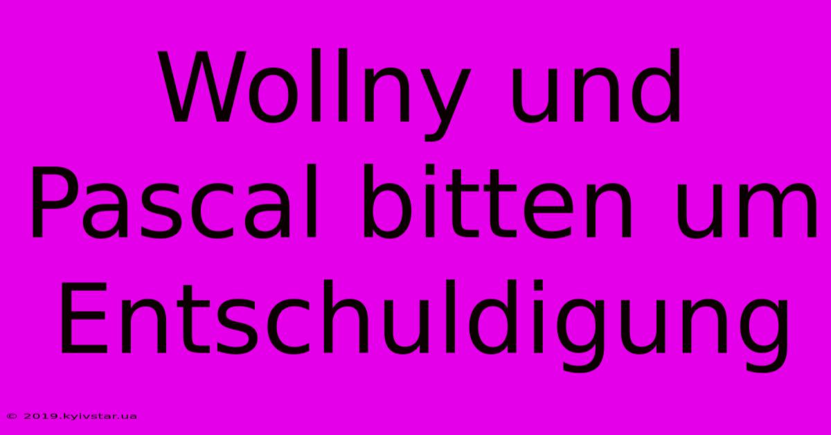 Wollny Und Pascal Bitten Um Entschuldigung