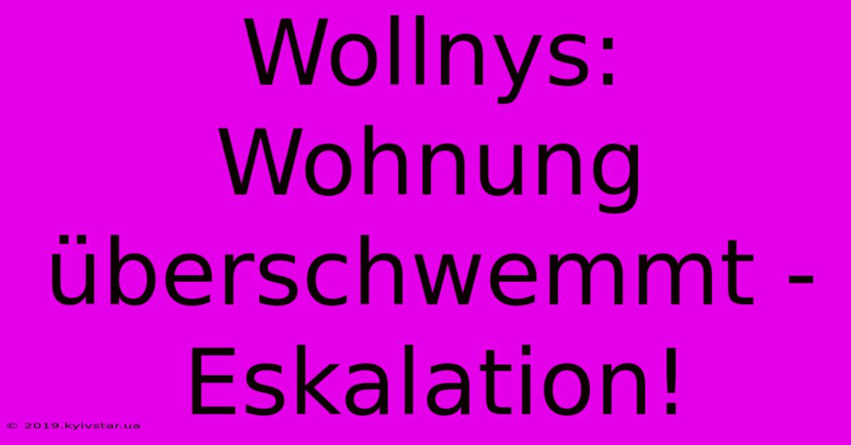 Wollnys: Wohnung Überschwemmt - Eskalation!