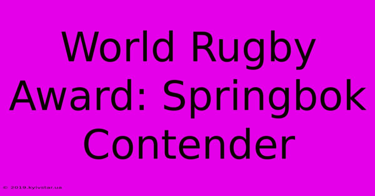 World Rugby Award: Springbok Contender