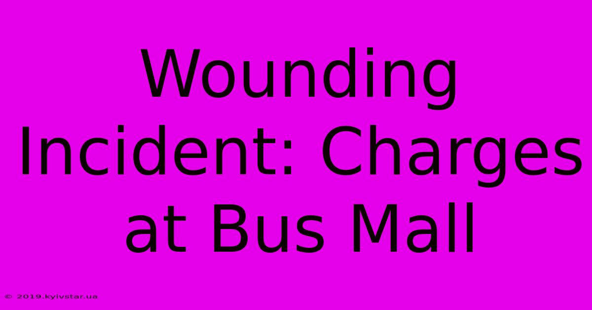 Wounding Incident: Charges At Bus Mall