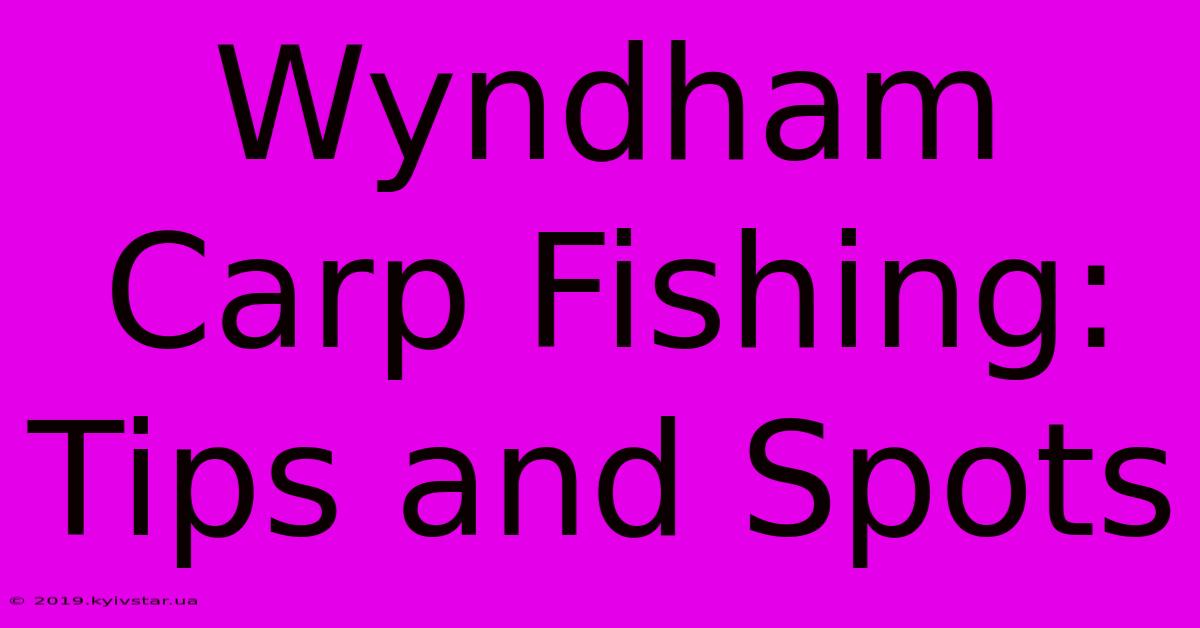 Wyndham Carp Fishing: Tips And Spots