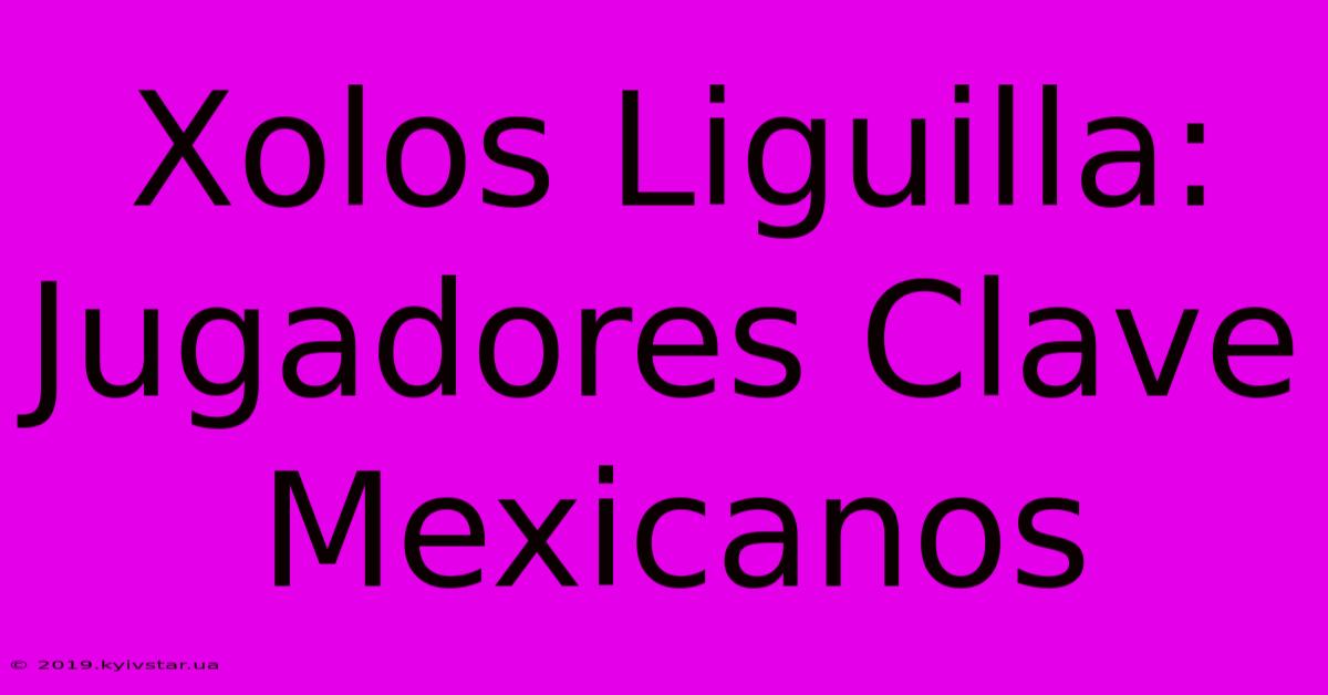 Xolos Liguilla: Jugadores Clave Mexicanos