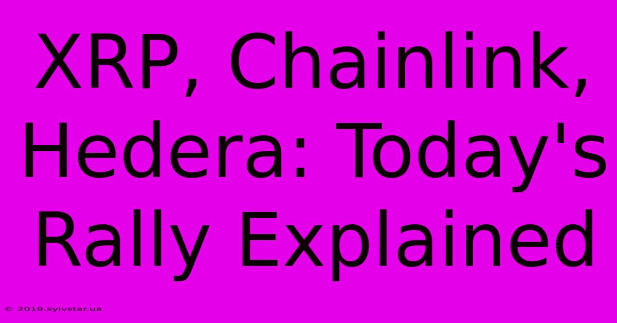 XRP, Chainlink, Hedera: Today's Rally Explained