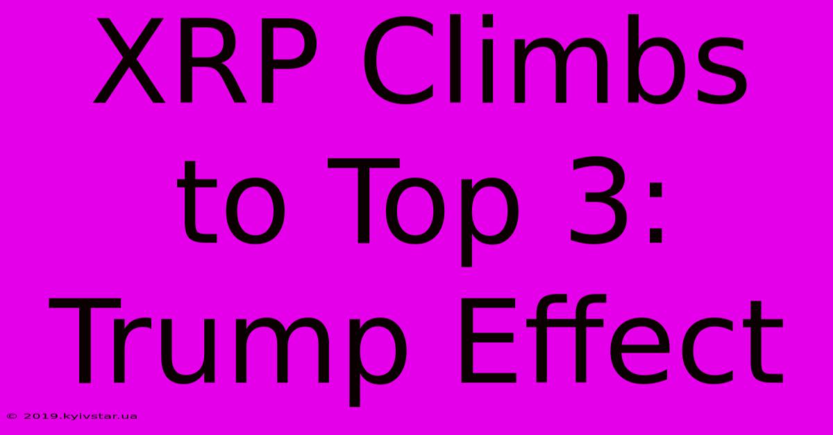 XRP Climbs To Top 3: Trump Effect