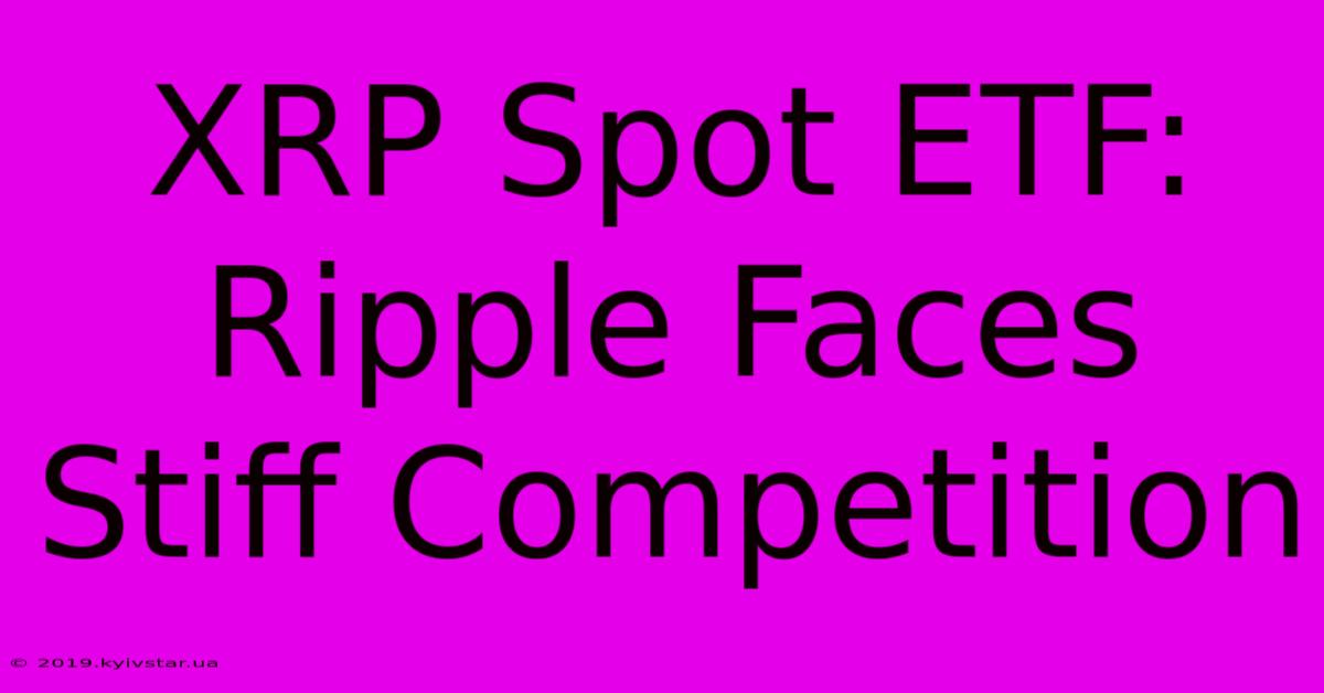 XRP Spot ETF: Ripple Faces Stiff Competition