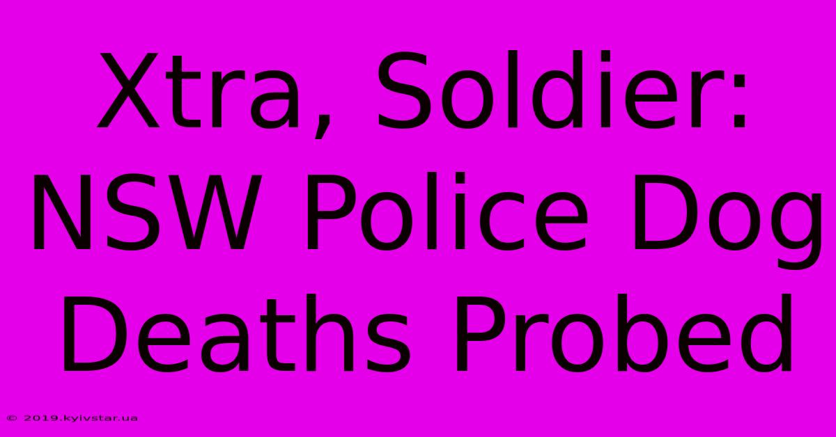 Xtra, Soldier: NSW Police Dog Deaths Probed