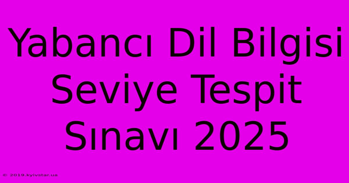 Yabancı Dil Bilgisi Seviye Tespit Sınavı 2025