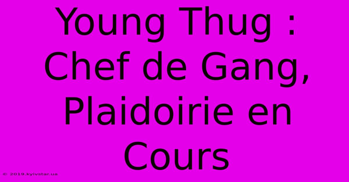 Young Thug : Chef De Gang, Plaidoirie En Cours