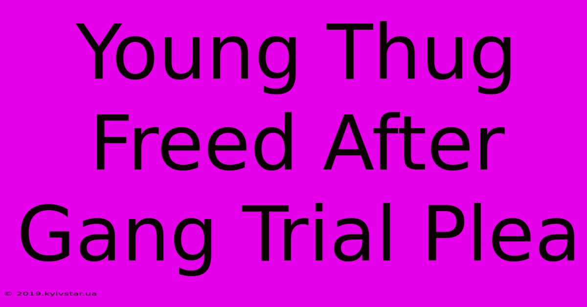 Young Thug Freed After Gang Trial Plea