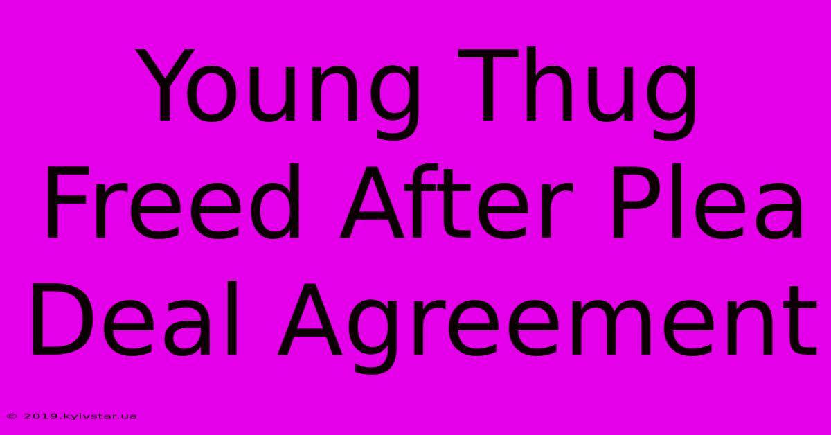 Young Thug Freed After Plea Deal Agreement 