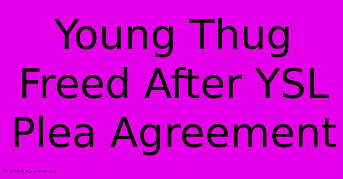 Young Thug Freed After YSL Plea Agreement