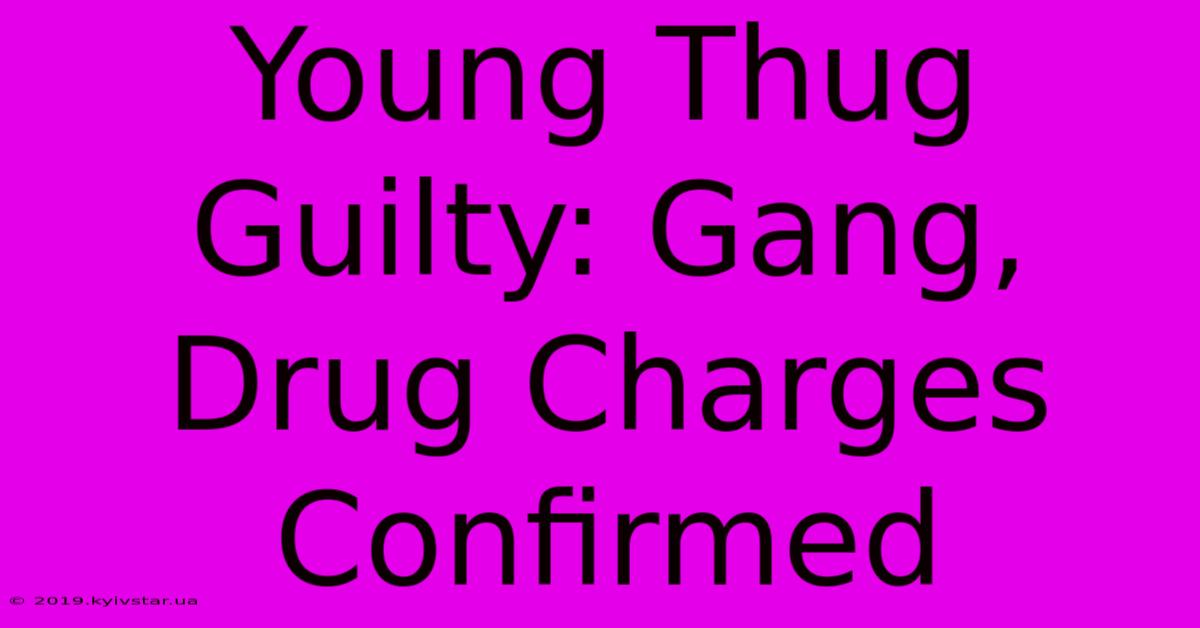 Young Thug Guilty: Gang, Drug Charges Confirmed 