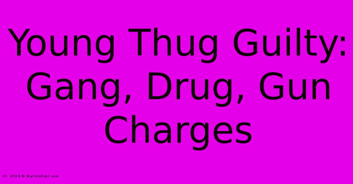 Young Thug Guilty: Gang, Drug, Gun Charges