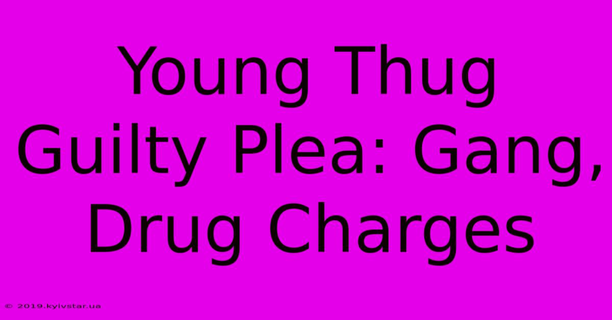 Young Thug Guilty Plea: Gang, Drug Charges 