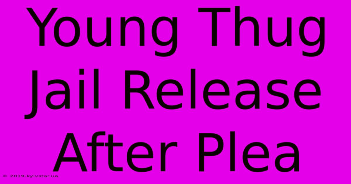 Young Thug Jail Release After Plea