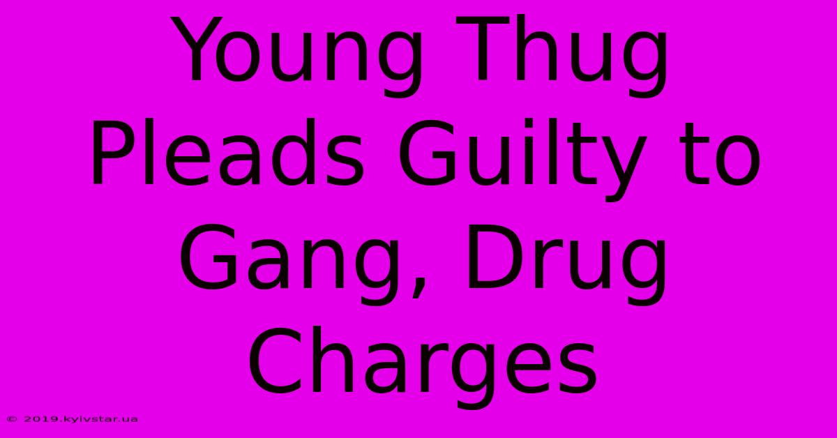 Young Thug Pleads Guilty To Gang, Drug Charges 