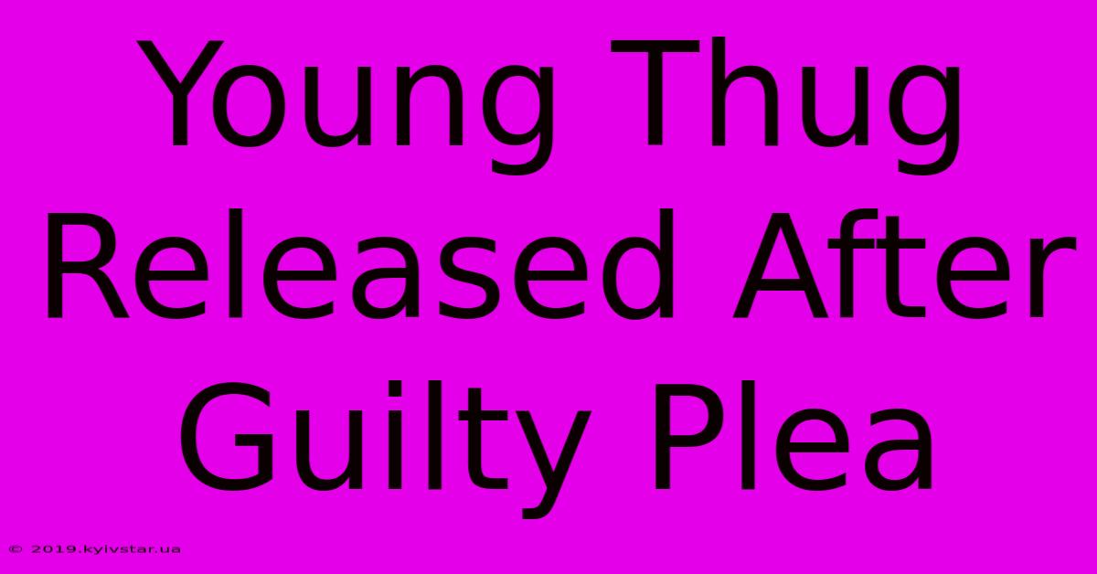 Young Thug Released After Guilty Plea