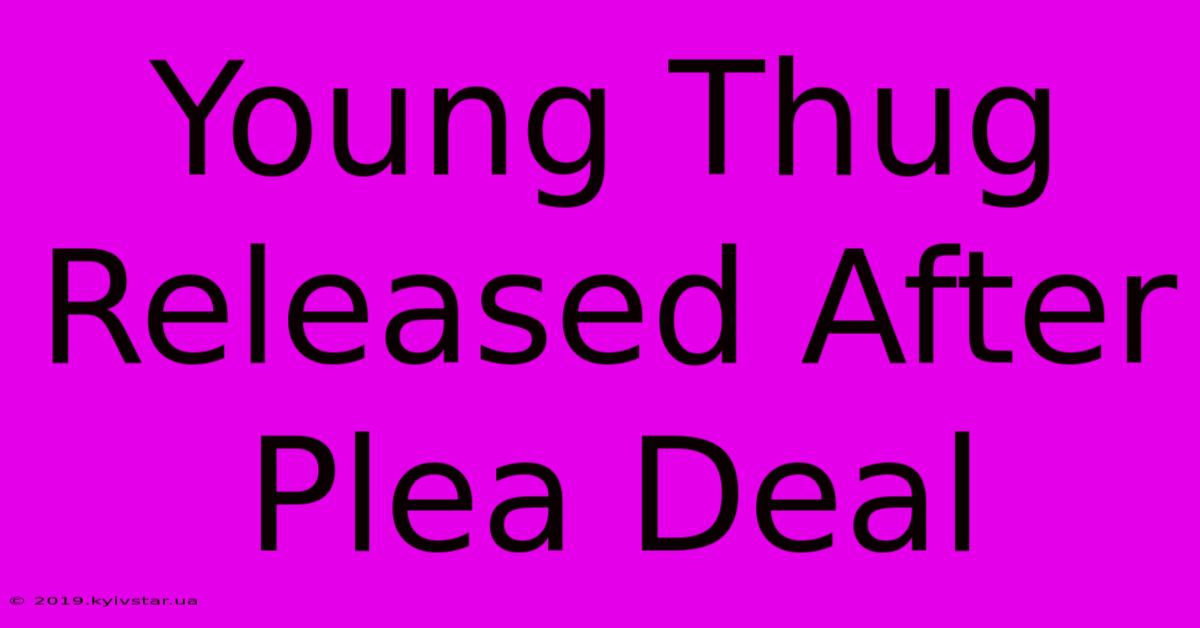 Young Thug Released After Plea Deal