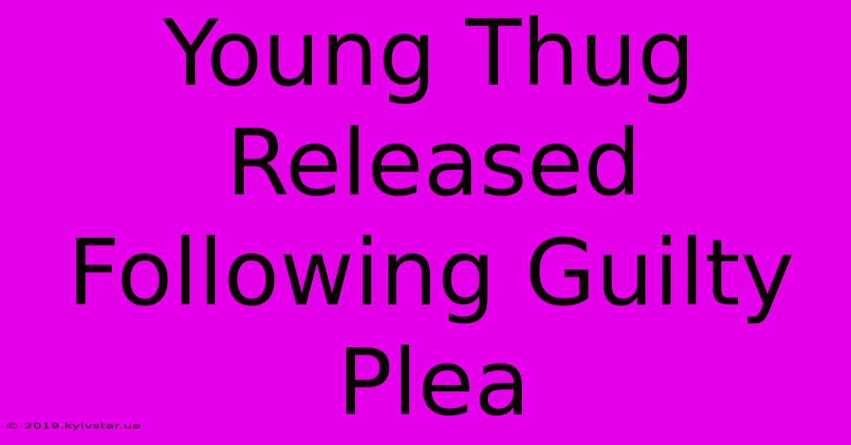 Young Thug Released Following Guilty Plea 