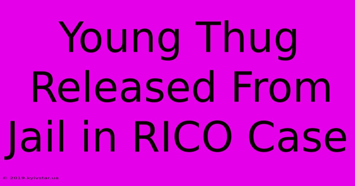 Young Thug Released From Jail In RICO Case