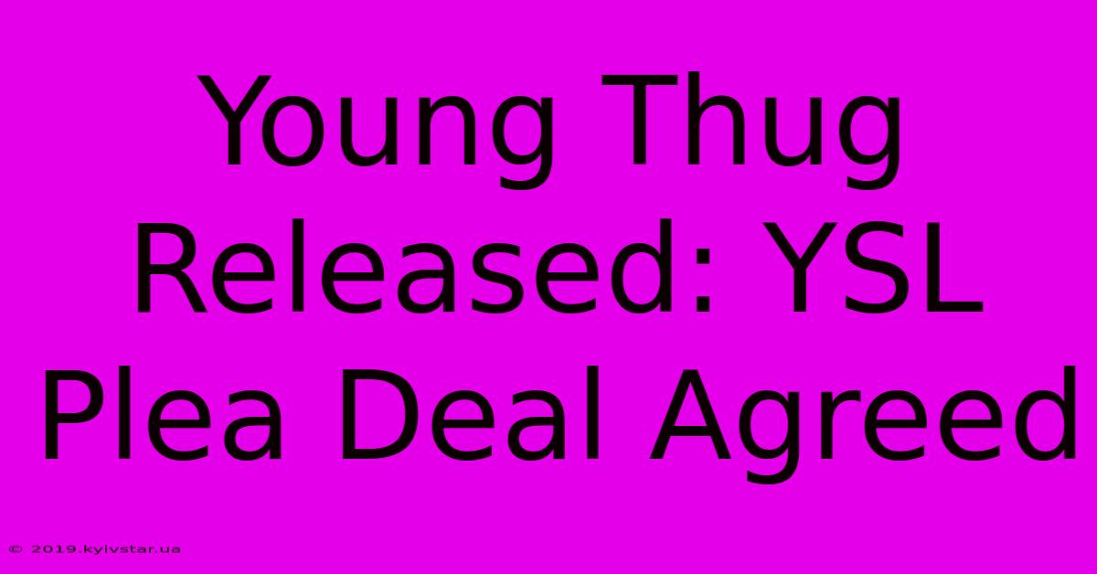 Young Thug Released: YSL Plea Deal Agreed 