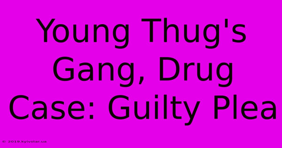 Young Thug's Gang, Drug Case: Guilty Plea