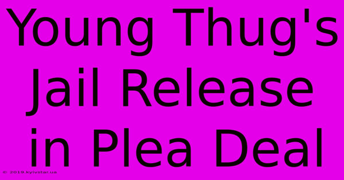 Young Thug's Jail Release In Plea Deal