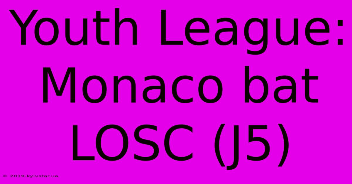 Youth League: Monaco Bat LOSC (J5)